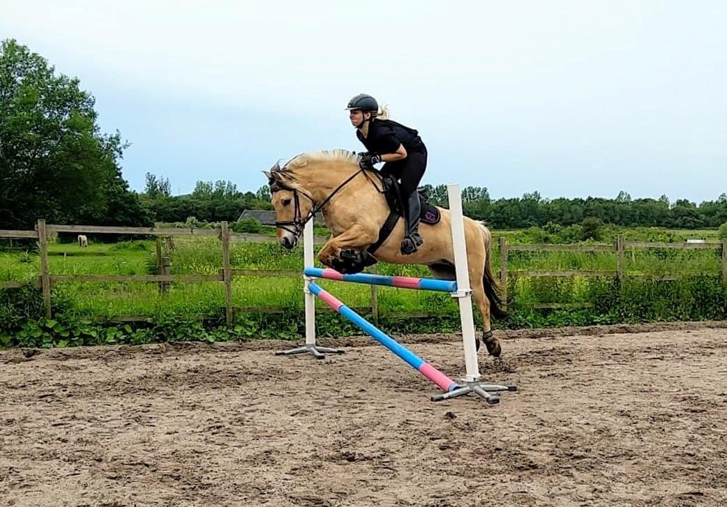 Fjordhest Toftegårdens Tjalfe - Første gang vi springer 90 cm. Juli 2019 billede 7