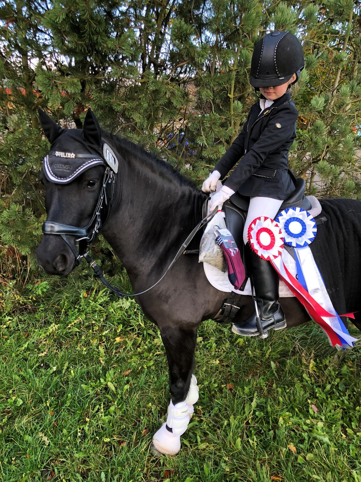 Anden særlig race Felix billede 37