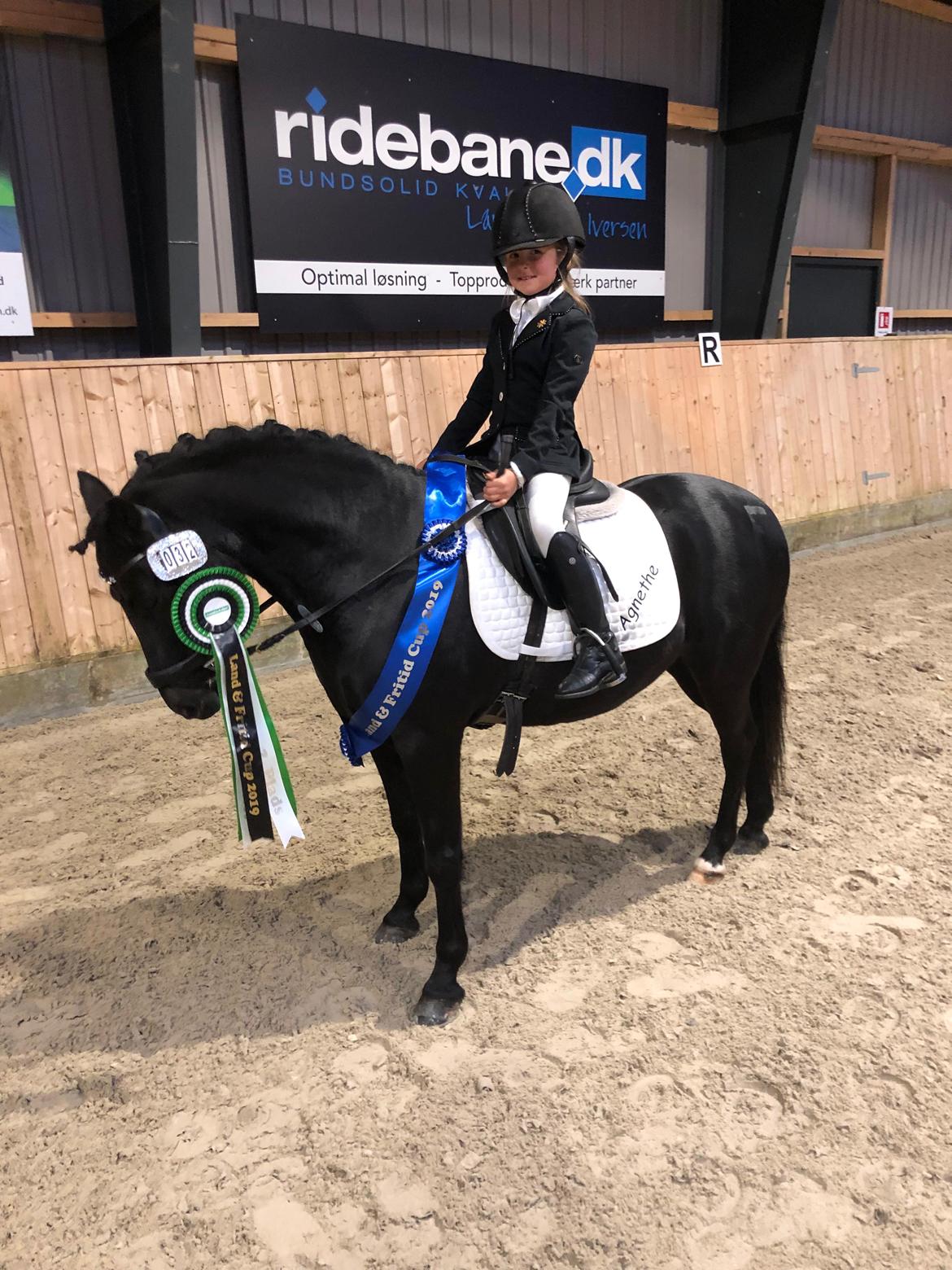 Anden særlig race Felix billede 40