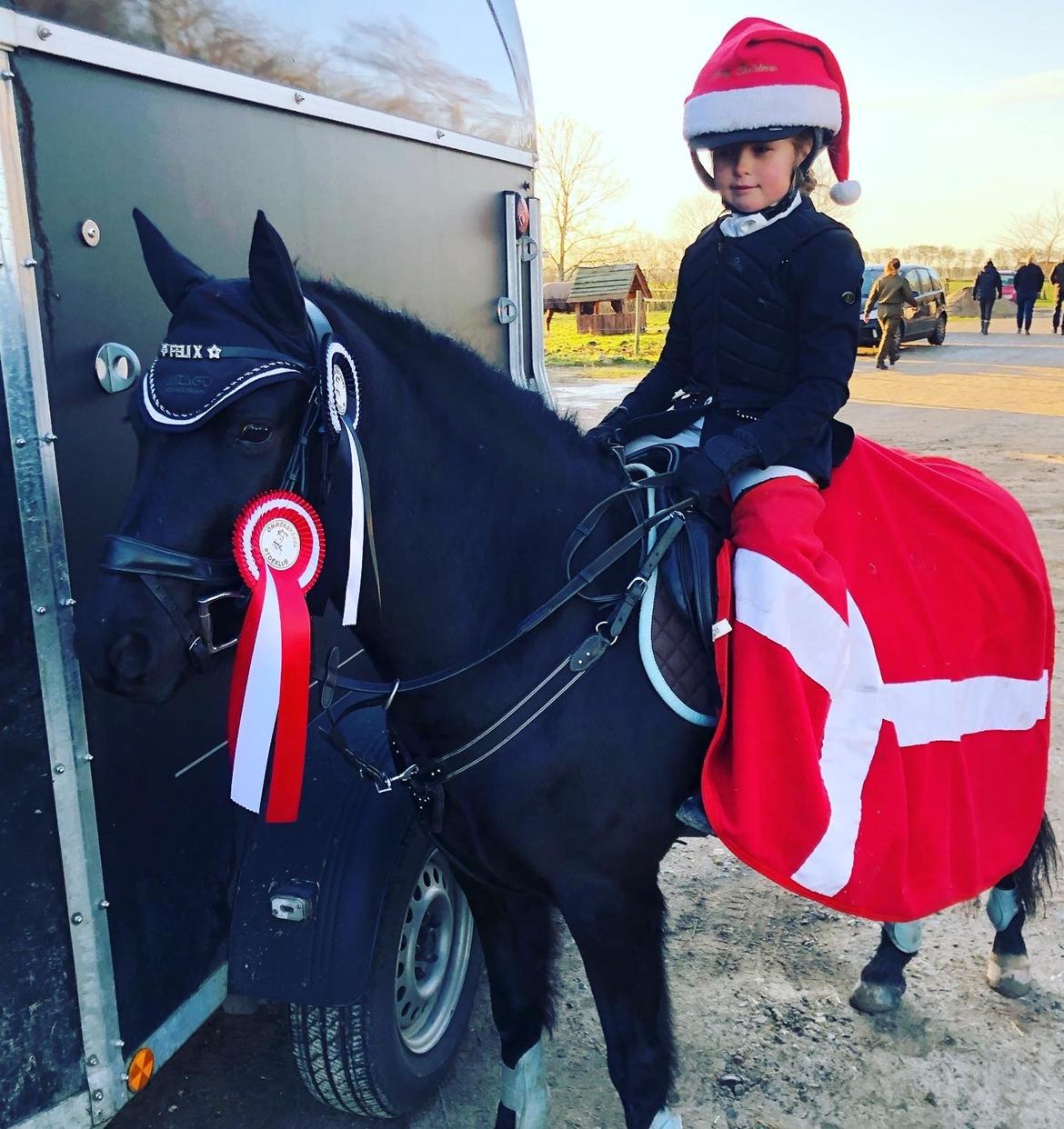 Anden særlig race Felix billede 43