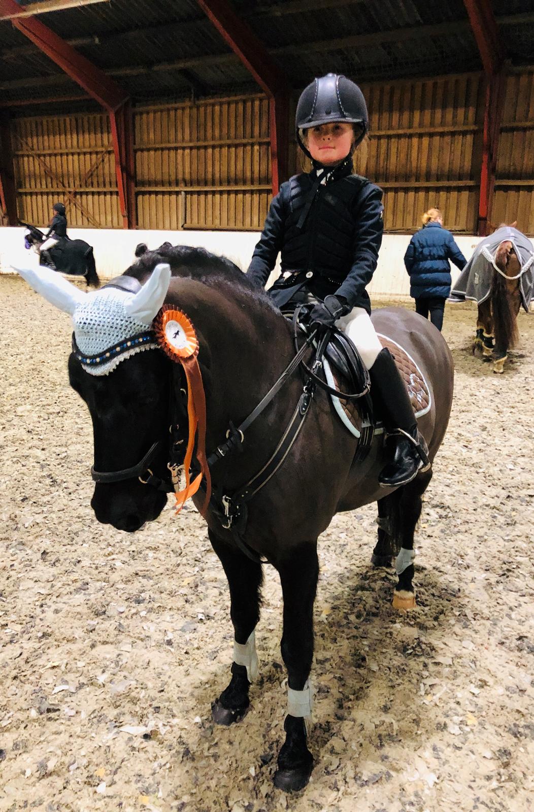 Anden særlig race Felix billede 44