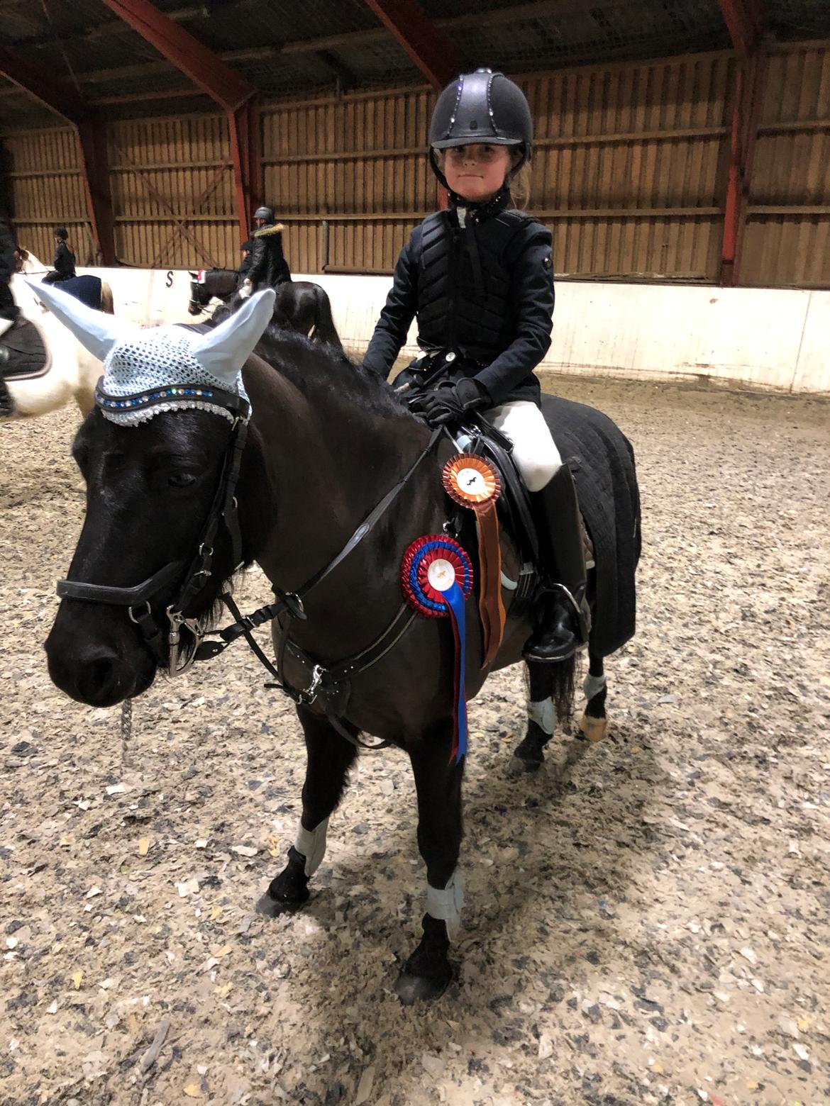 Anden særlig race Felix billede 45