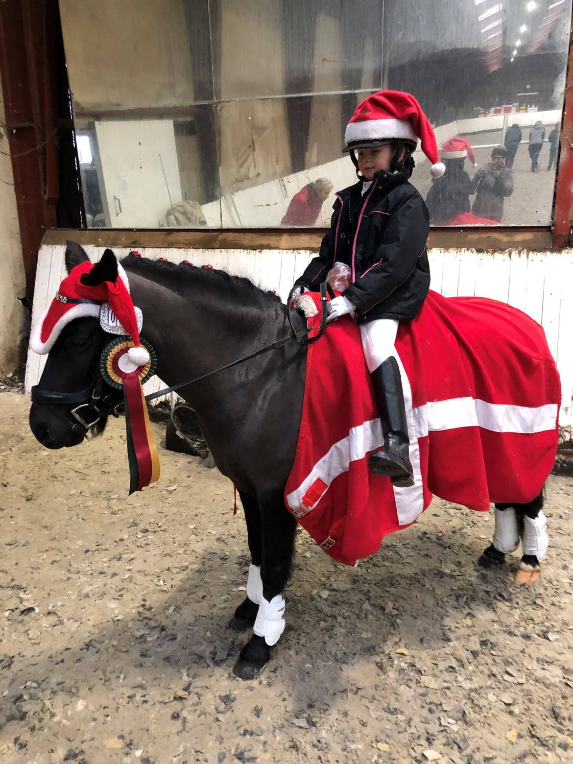 Anden særlig race Felix billede 46