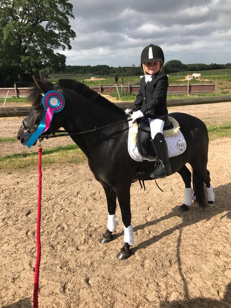 Anden særlig race Felix billede 49