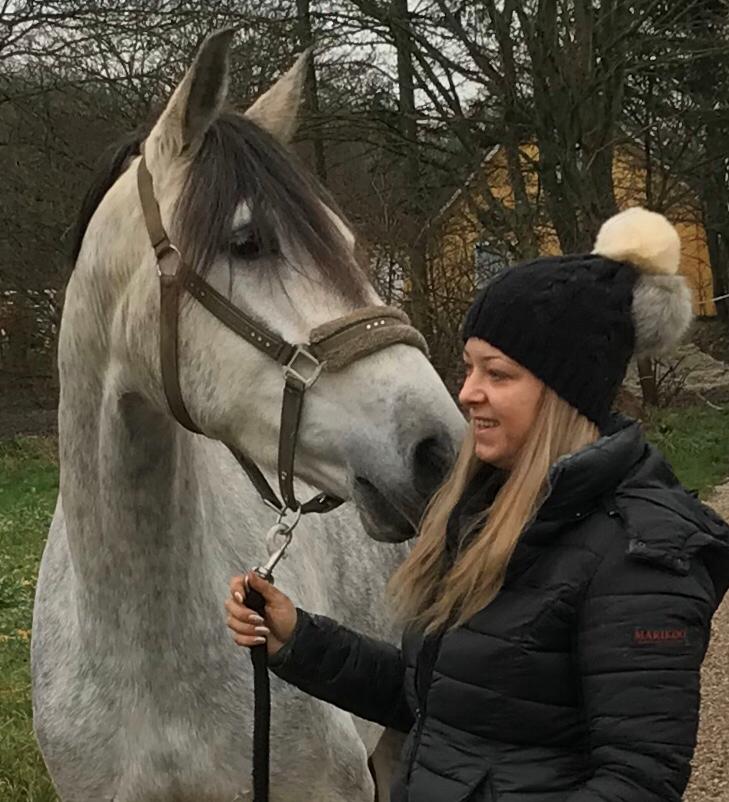 Lusitano Legendarich billede 14