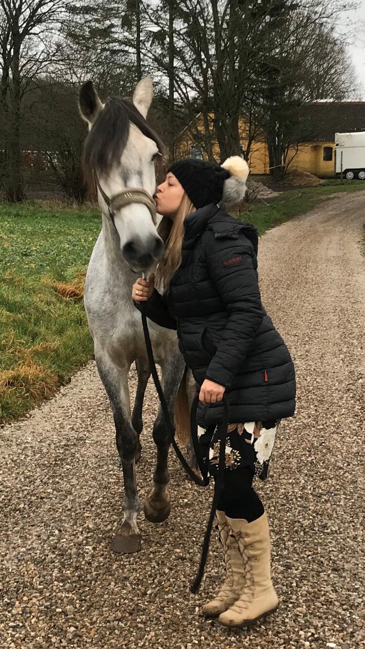 Lusitano Legendarich billede 15