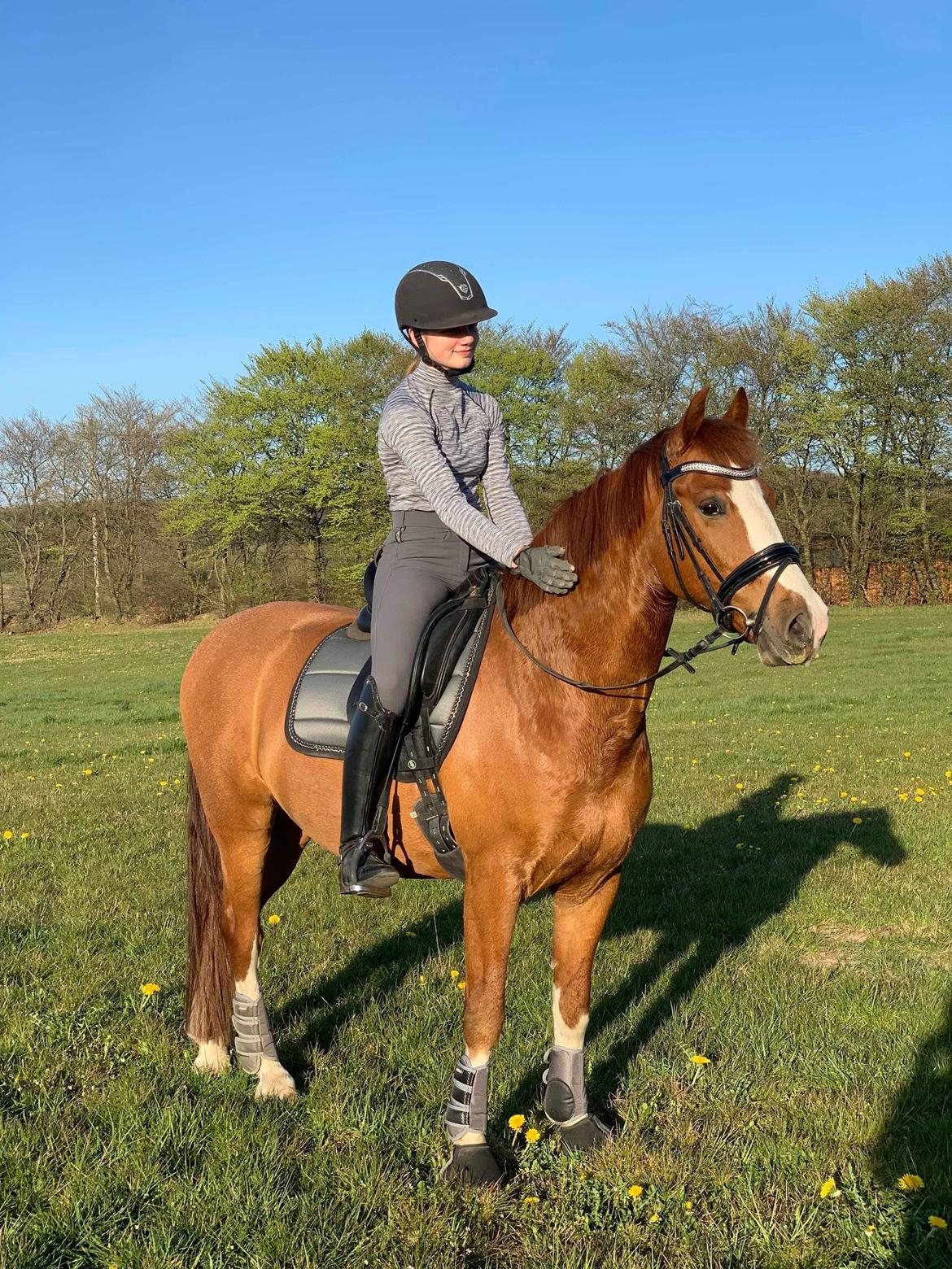 DSP New Moon  billede 6