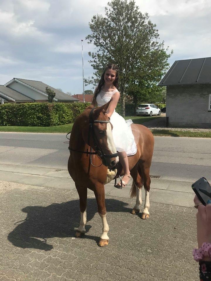 DSP New Moon  billede 4