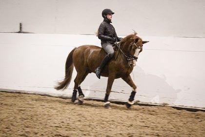 DSP New Moon  billede 3