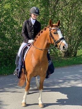 DSP New Moon  billede 1