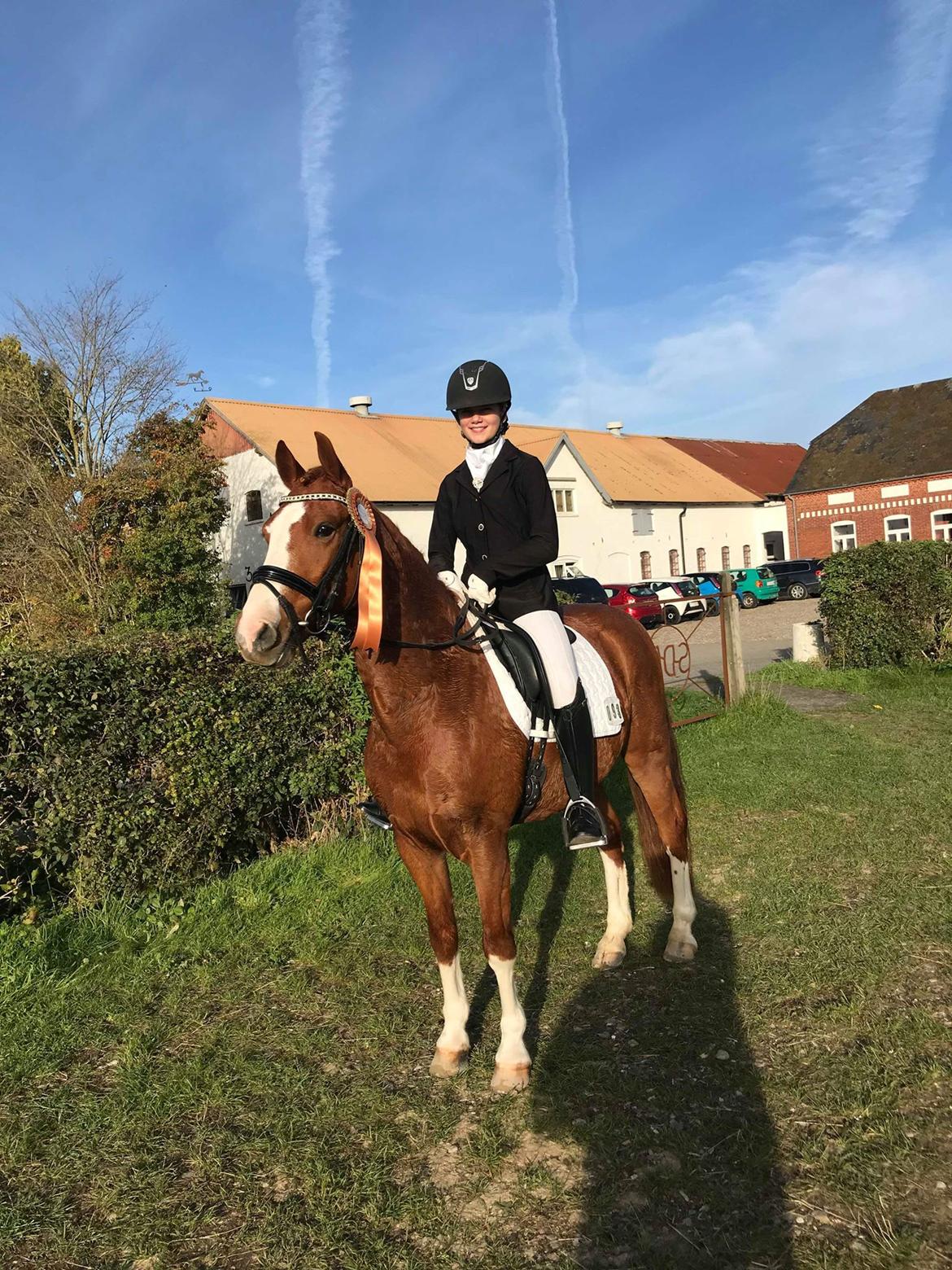 DSP New Moon  billede 7