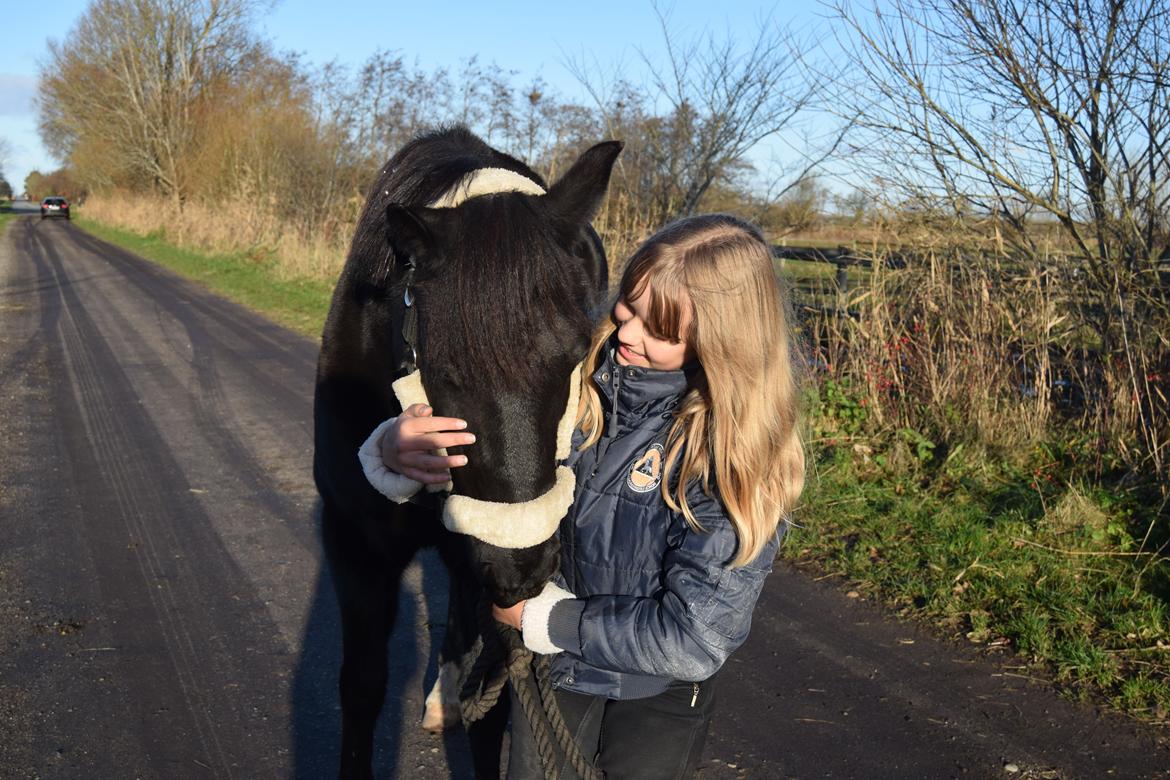 DSP Toftelunds Sweet Dancer billede 8