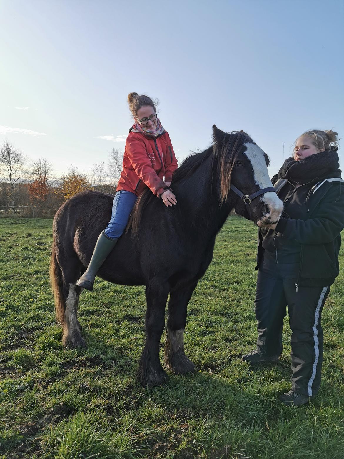 Irish Cob Stald Dalby's Tyrone - Vi hyggede på folden en dag og wupti.. Camilla sad på ryggen af Ty og han stod totalt afslappet! :-)  billede 20