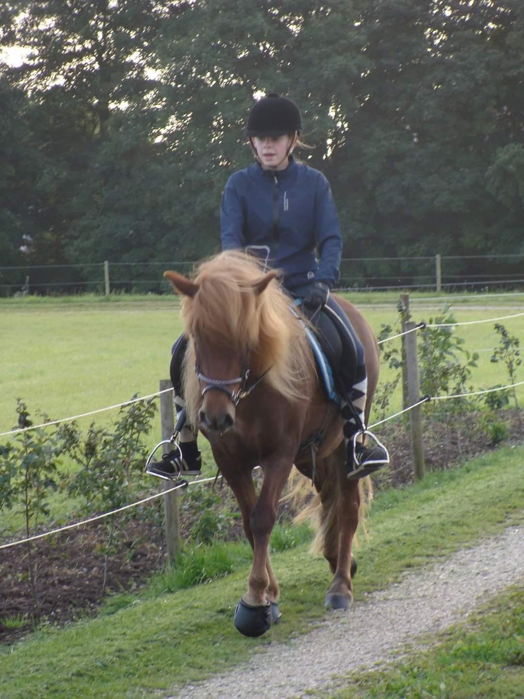 Islænder Skutla fra Anglesey billede 19