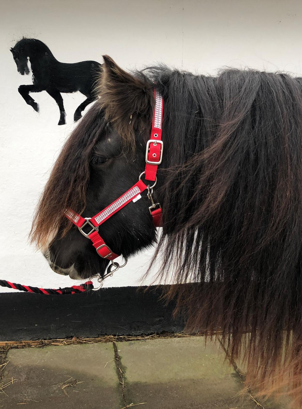 Tinker Sanora - Sanora med hendes første helt egen grime ❤️ billede 15