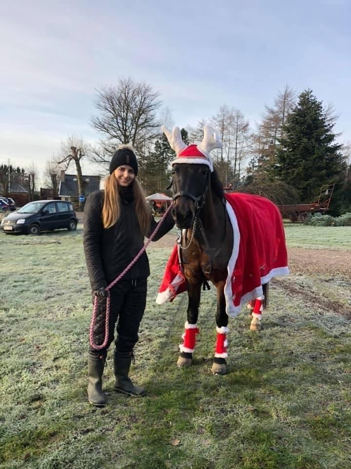 New Forest Lundemarksgårds Prada billede 18