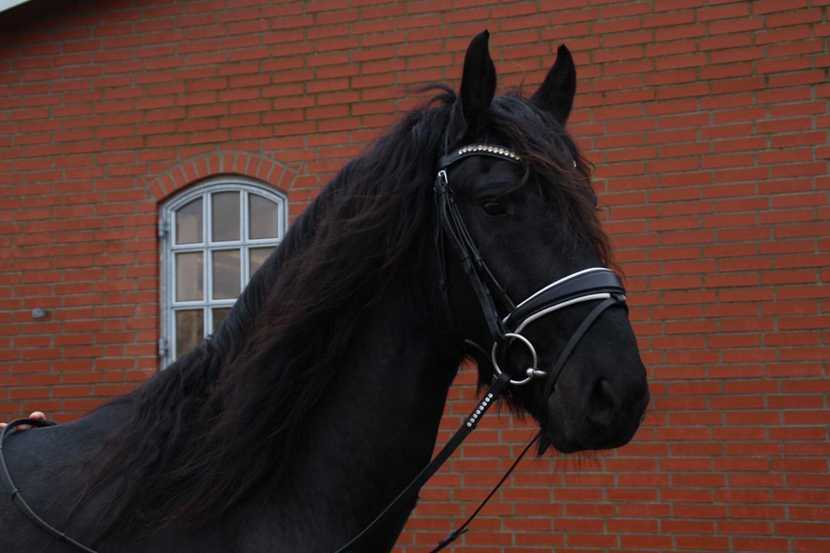 Frieser Anton fan stald barok - Billeder taget d 29/12-19 billede 12