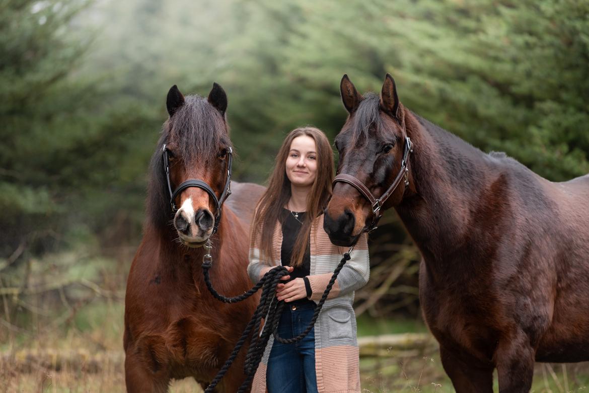 Anden særlig race | Madonna - ♥ December 2019. billede 12