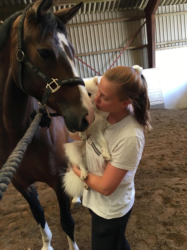 DSP Bohøjgaards Michigan billede 7