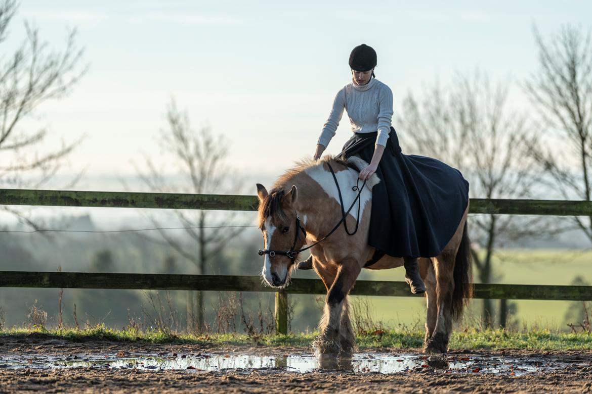 Irish Cob Crossbreed Toftgårds Amigo - Vinteren 2019/2020 billede 1