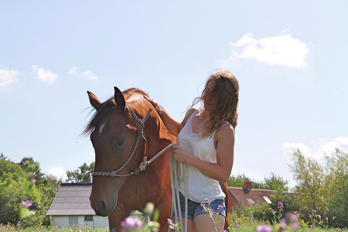 Frederiksborg Toby A Bjældsø - 12-08-2019 billede 5
