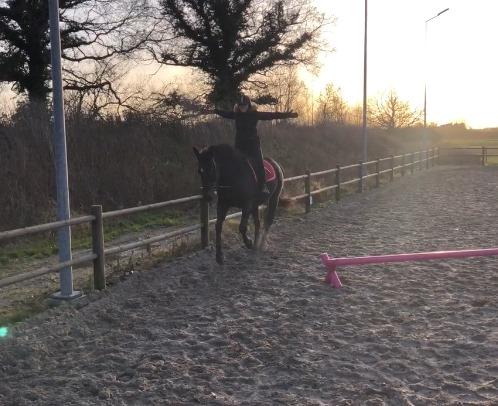 Oldenborg Schousboe's Rebus billede 3