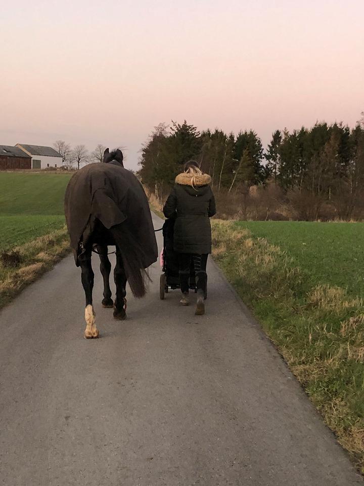 Oldenborg Schousboe's Rebus billede 11