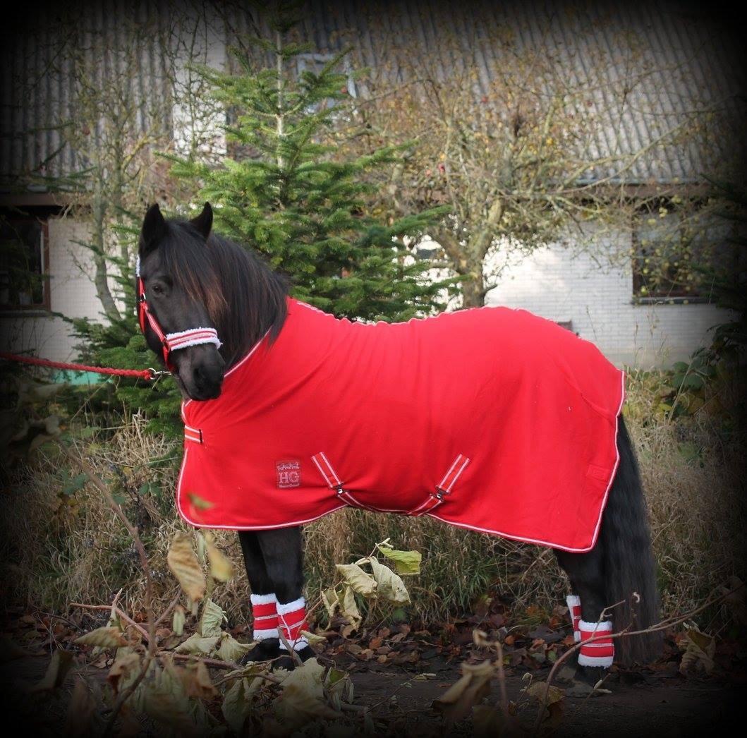 Anden særlig race Samson ( Rip 10 maj 2022 ) billede 1