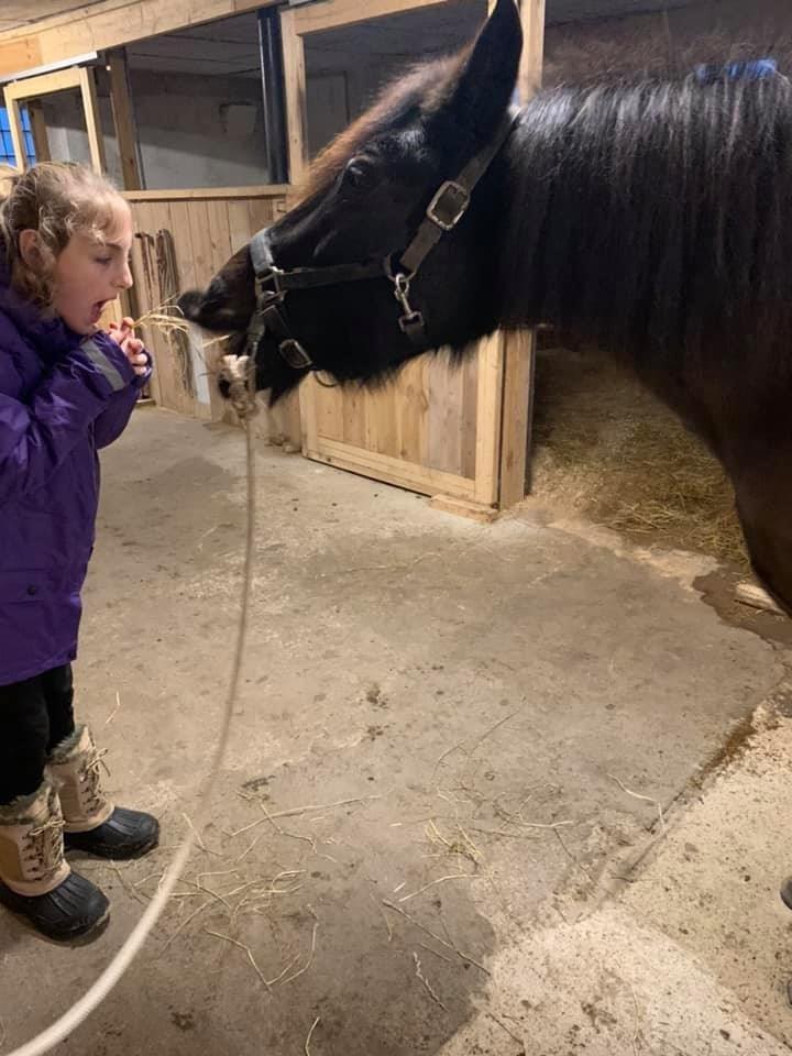 Anden særlig race Samson ( Rip 10 maj 2022 ) billede 8