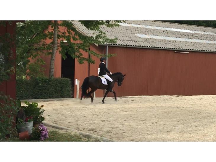 {{currentPhoto.altText}} billede {{currentPhoto.number}}