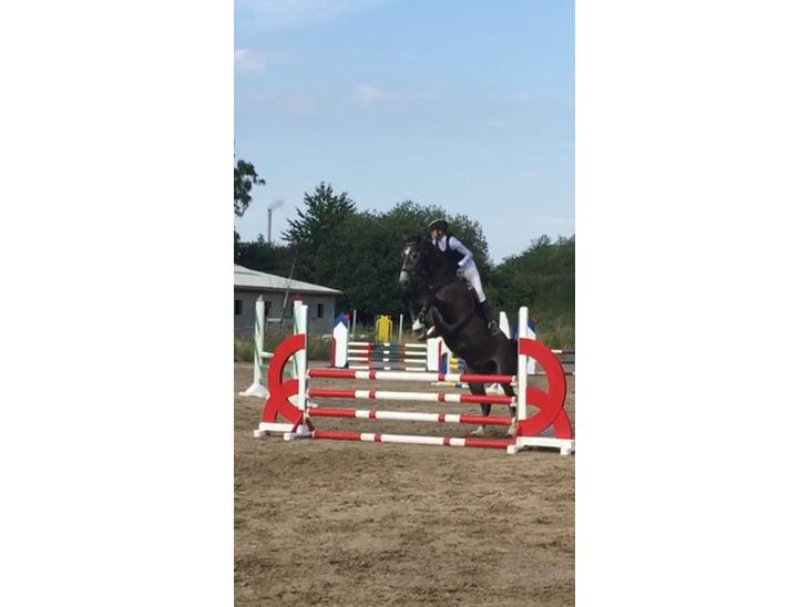 {{currentPhoto.altText}} billede {{currentPhoto.number}}