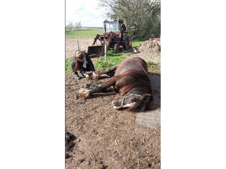 {{currentPhoto.altText}} billede {{currentPhoto.number}}