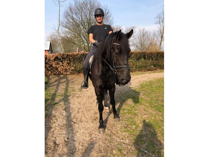 {{currentPhoto.altText}} billede {{currentPhoto.number}}