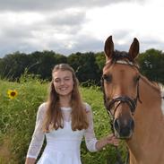 Anden særlig race Bøgelunds O'Conner