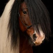 Tinker Satin's con trast