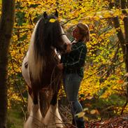 Tinker Satin's con trast