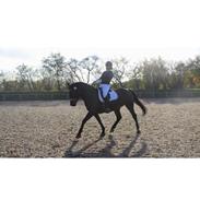 Oldenborg Zafine Macoy