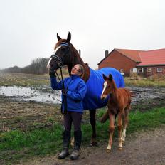 Frederiksborg Vestergårds meleisa