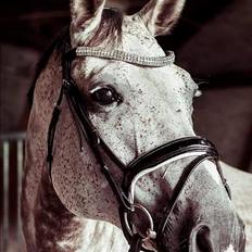 Holstener Romina (merci)