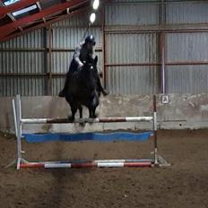 Anden særlig race Charlie Brown