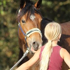 New Forest Ellinges miss sophie