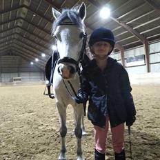 Welsh Pony (sec B) Dahlsminde Milano (dnk)