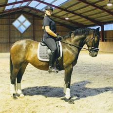 Oldenborg Zafine Macoy