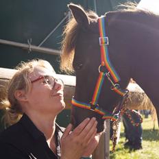 Amerikansk Miniature Lykkebos Grand Troublemaker