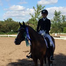 DSP Nørlunds vancouver