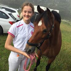 Welsh Cob (sec D) Mailunds abigail