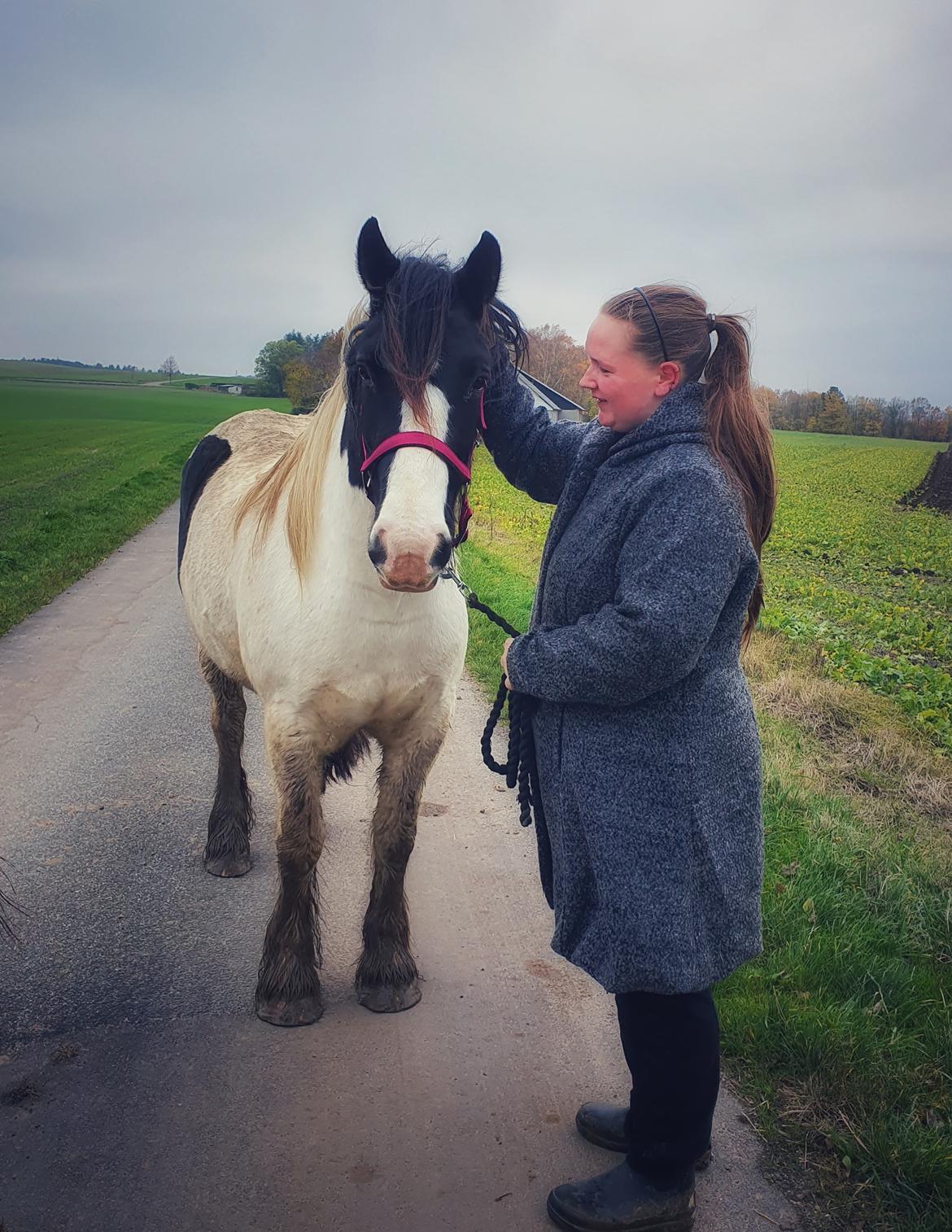 Tinker Sanaya (Rindoms Madam Mim) billede 2