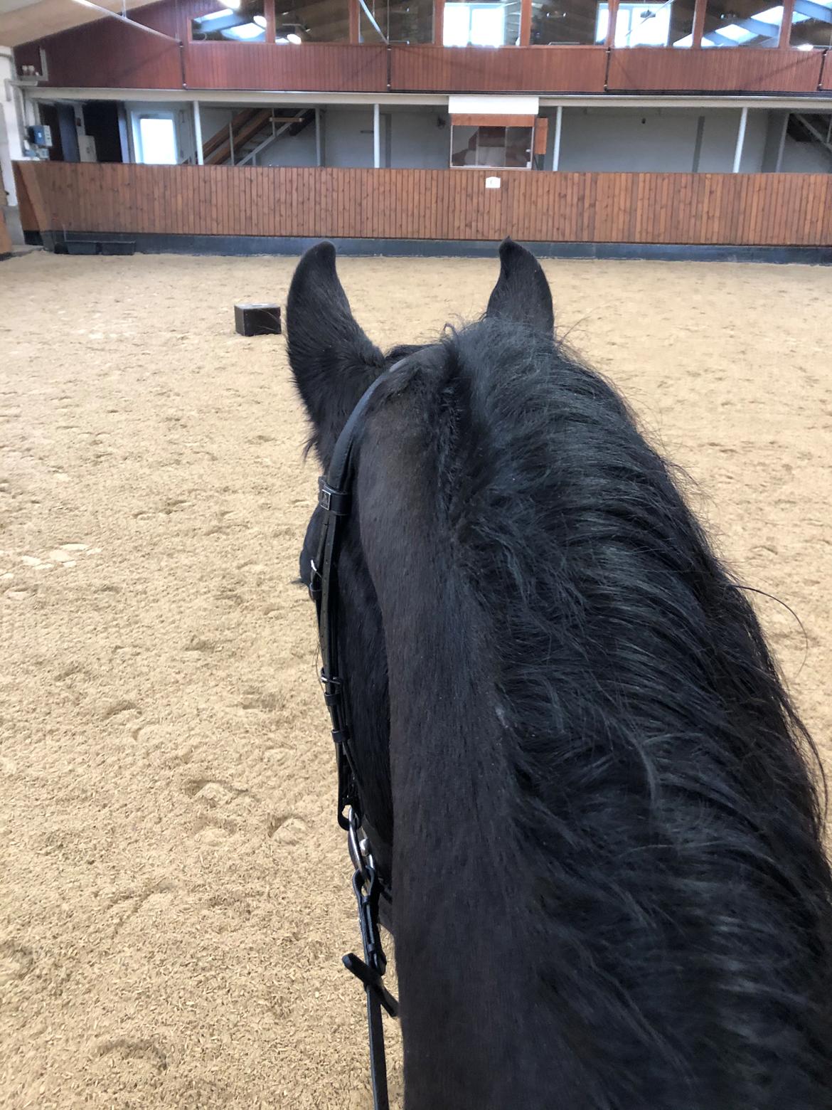 Frieser Anton fan stald barok billede 18