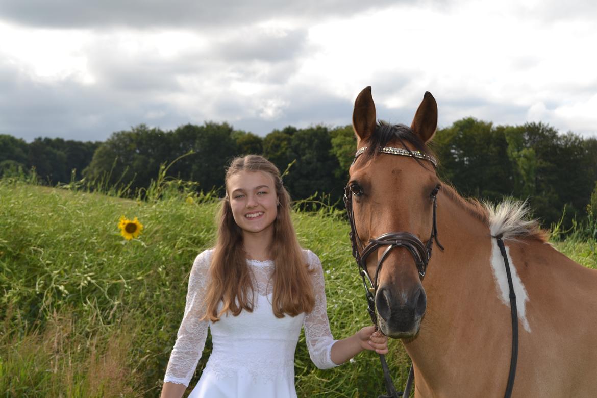 Anden særlig race Bøgelunds O'Conner billede 2