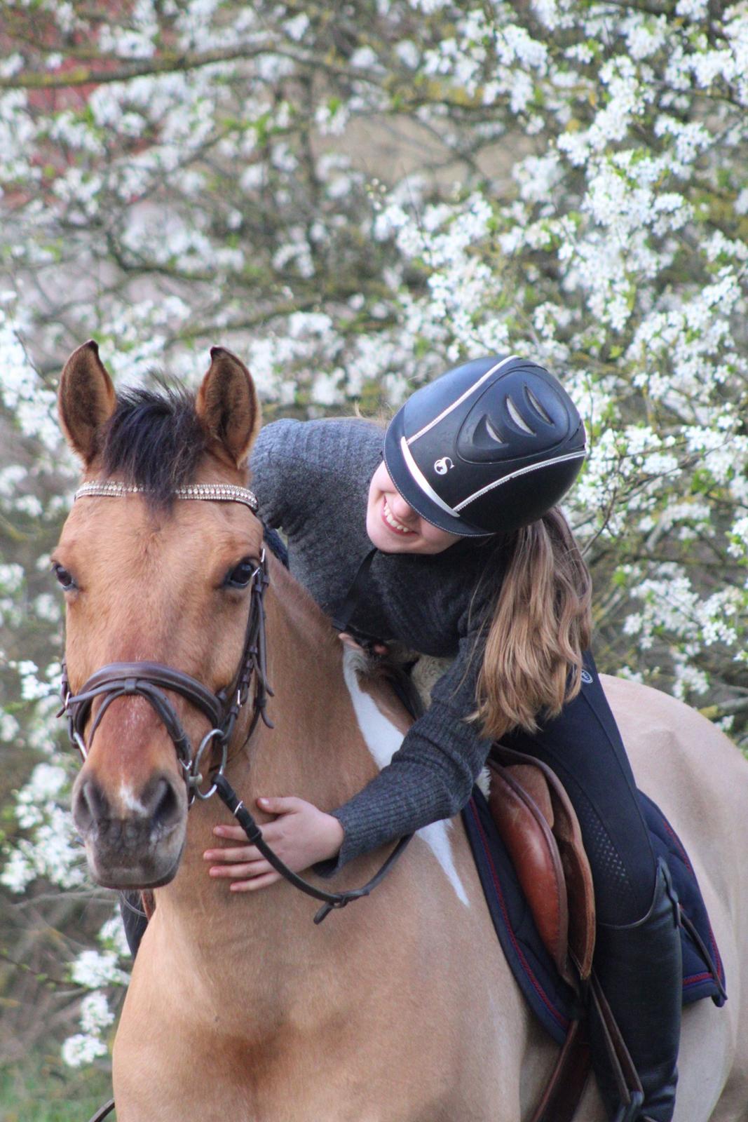 Anden særlig race Bøgelunds O'Conner billede 6